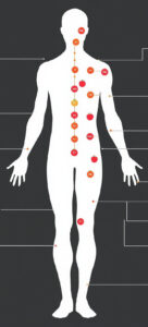 Infographic van lichaamsmetingen met BMI, vetpercentage, spiermassa, en BMR gevisualiseerd op een menselijk silhouet.