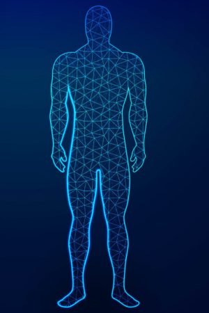 human body in virtual reality. Medical blue print scanned 3D model, Abstract Low poly wireframe mesh design. Dot and Line connection. Vector Illustration / Background